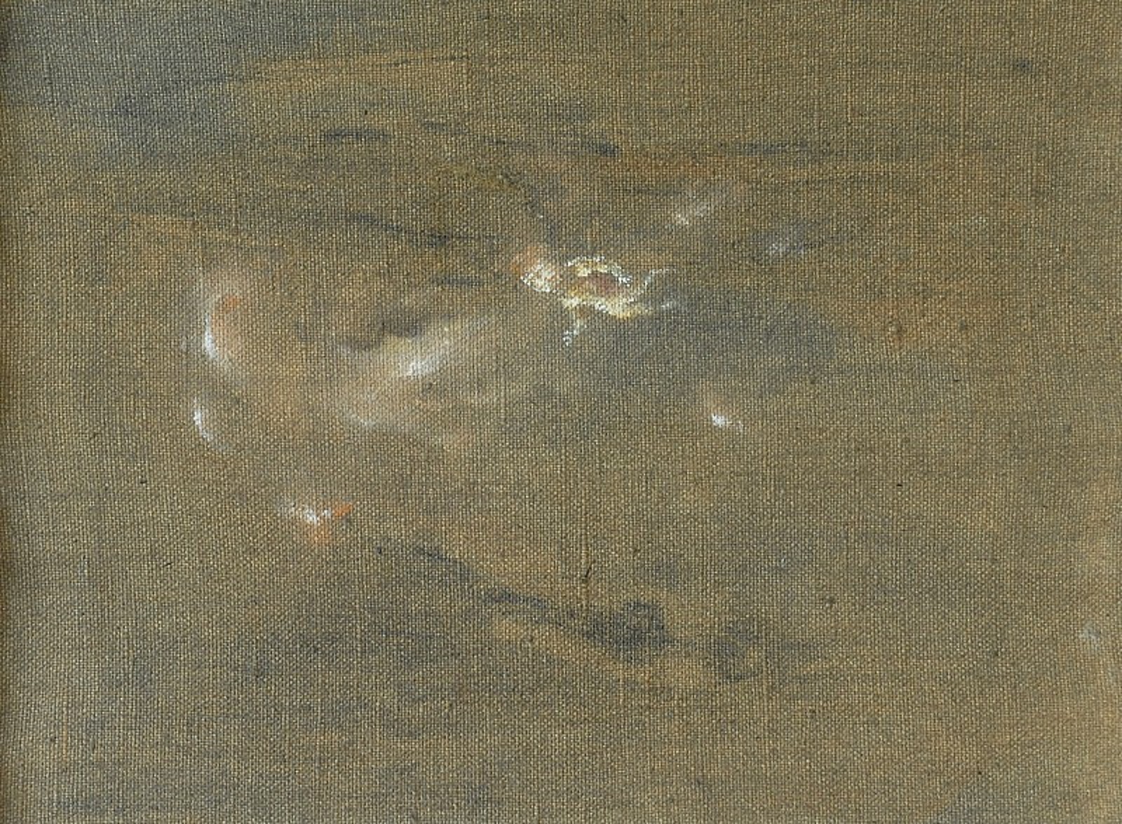 Martin Mainer
