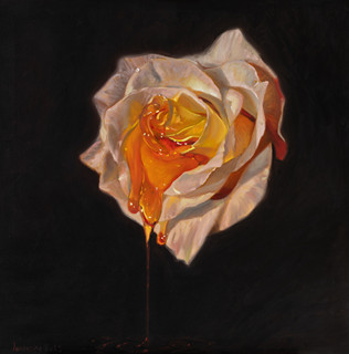 Michal Janovský (1984) - Rozkoš