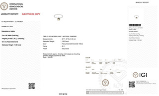Prsten - 14 kt. Bílé zlato - 1,00 ct. Přírodní diamant