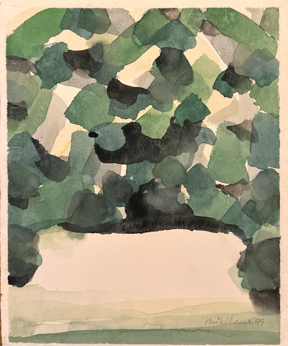 Pavel Mühlbauer (1949) - Krajina