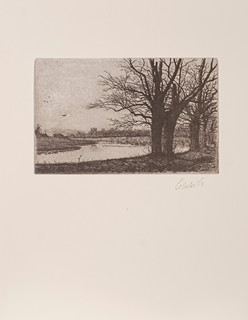 Ladislav Čepelák (1924 - 2000) - Veltruský park
