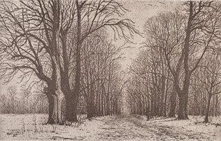 Ladislav Čepelák (1924 - 2000) - Veltruský park