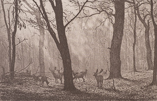 Ladislav Čepelák (1924 - 2000) - Veltruský park