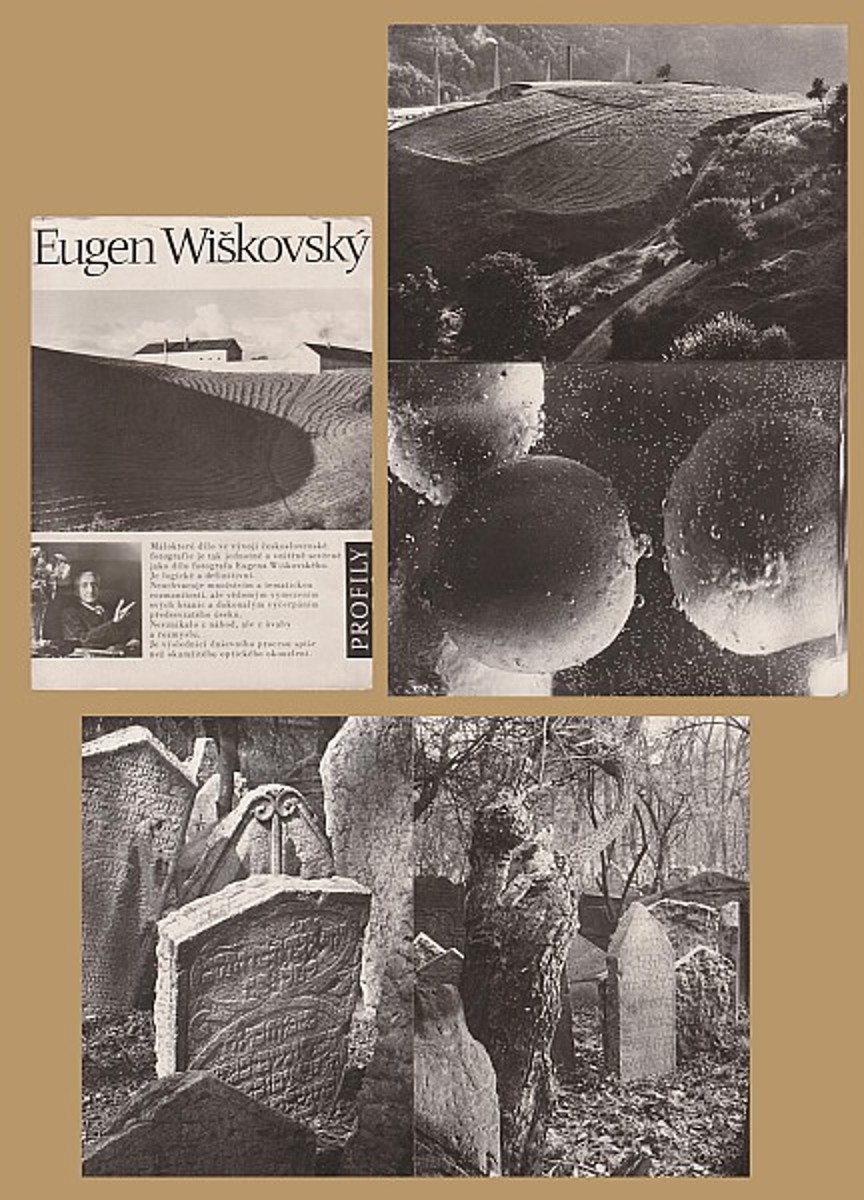 Eugen Wiškovský