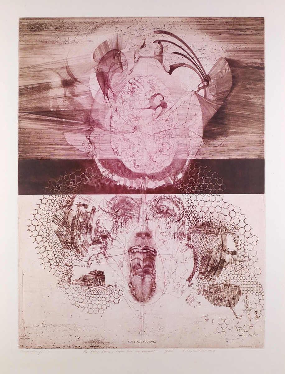 Jiří Anderle - Cogito ergo sum Perspective n. 4