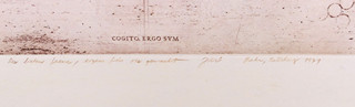 Jiří Anderle - Cogito ergo sum Perspective n. 4