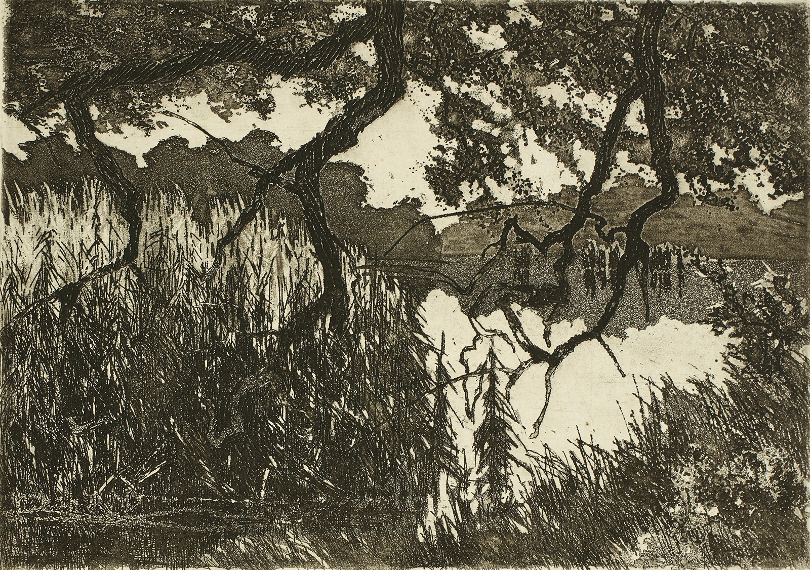 ANTONÍN ODEHNAL - VYSOČINA