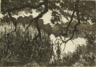 ANTONÍN ODEHNAL - VYSOČINA