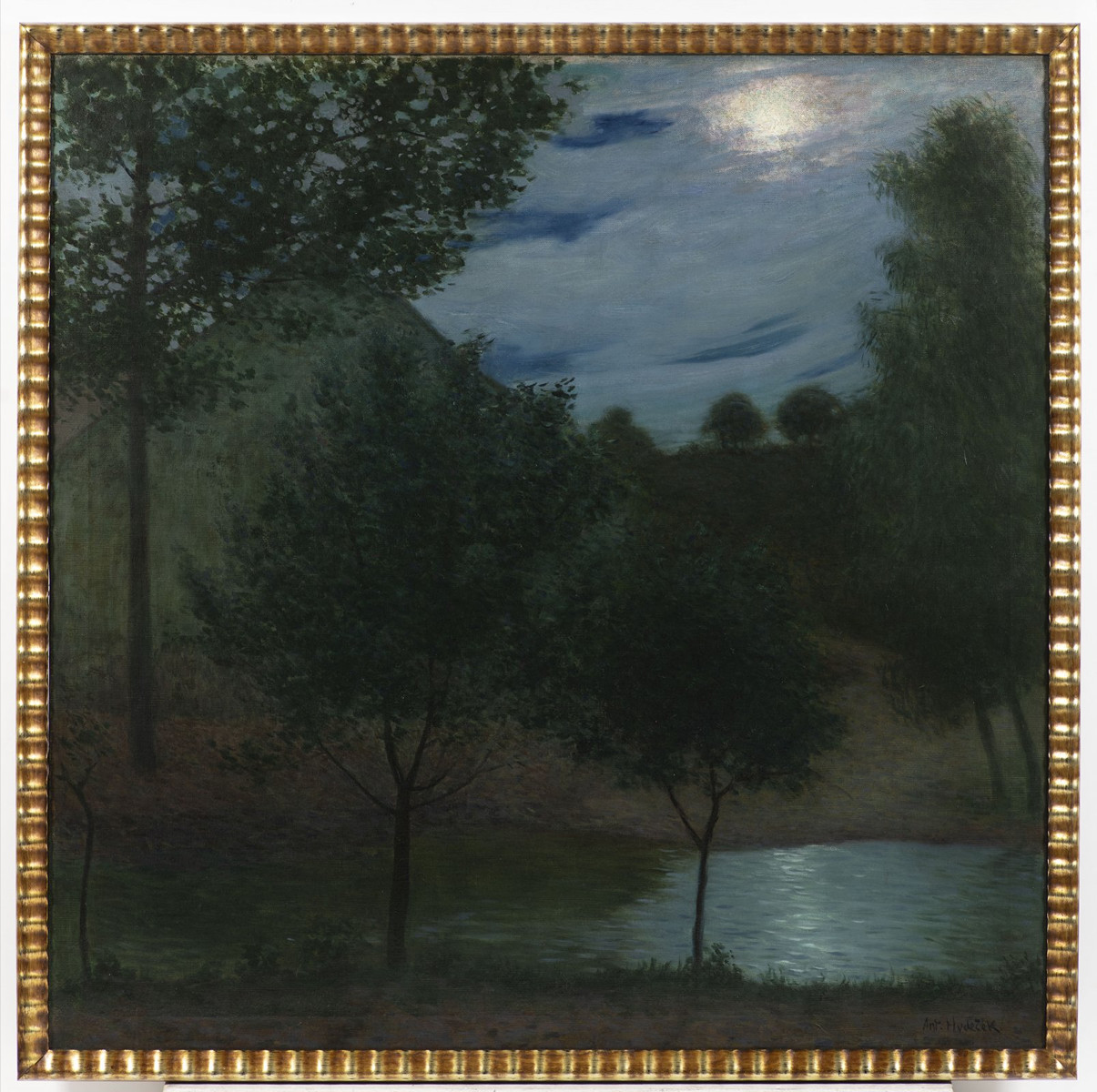 SUMMER NIGHT