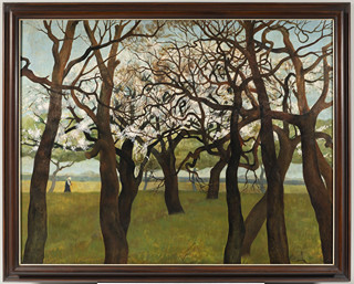 BLOOMING TREES