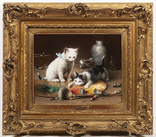 KITTENS IN THE STUDIO