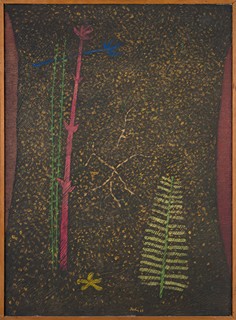 PLANTS (DECAY)