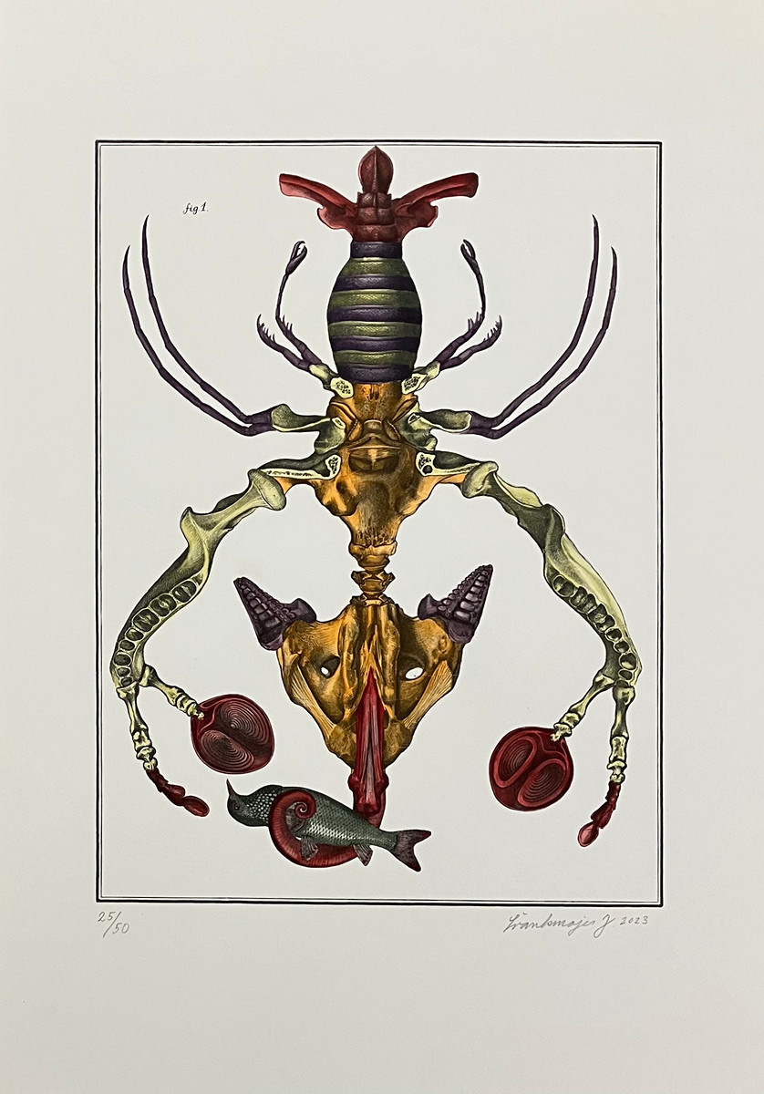 Jan Švankmajer (1934) - Bilderlexikon - zoologie 7 - Livebid.cz