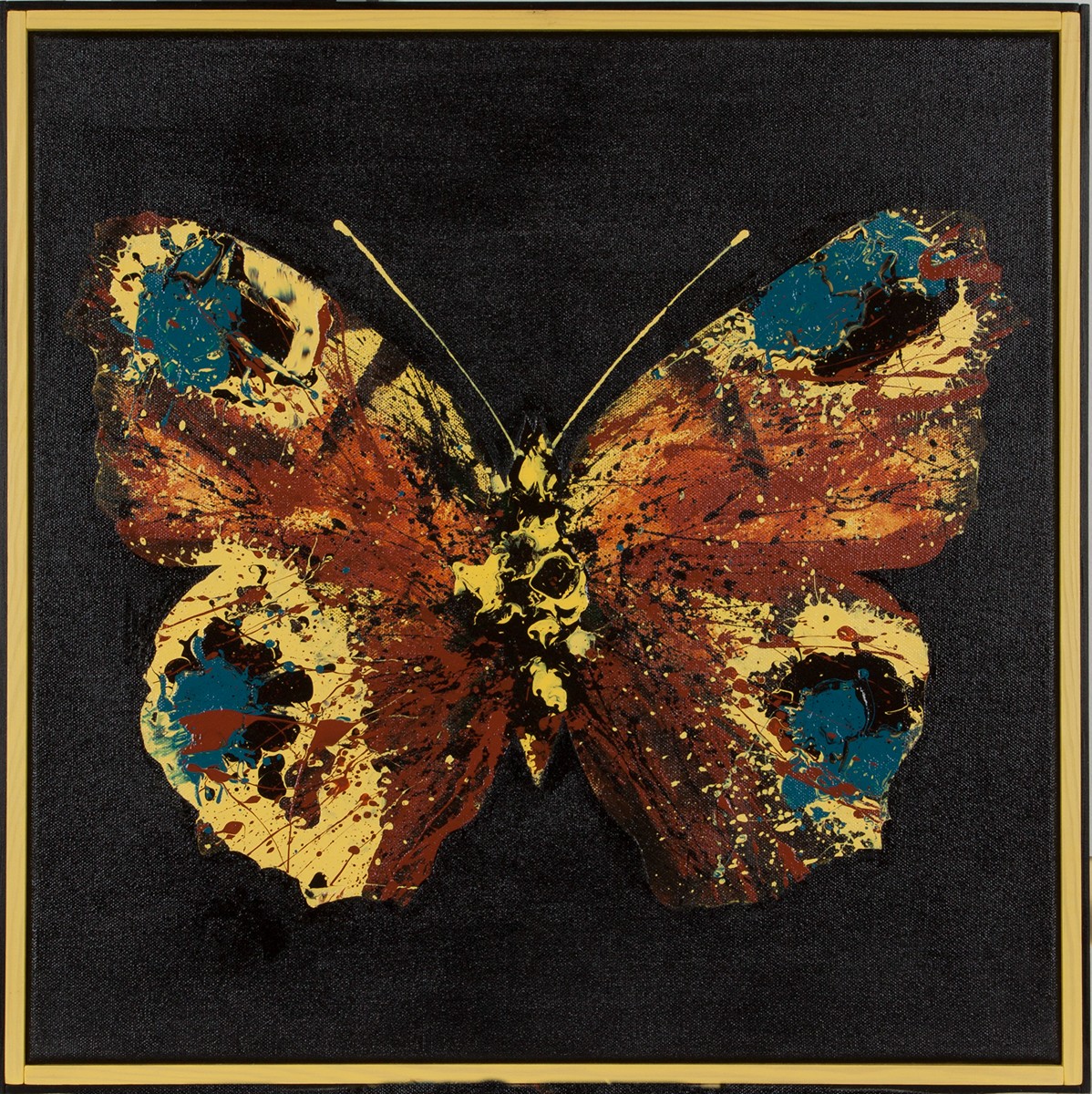 Richard Augustin - Papilio