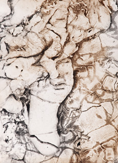 Bohumil Šťastný (1905 - 1991) - Tvář