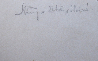 LADISLAV ŠALOUN (1870-1946) - STÍNY V DOBĚ VÁLEČNÉ