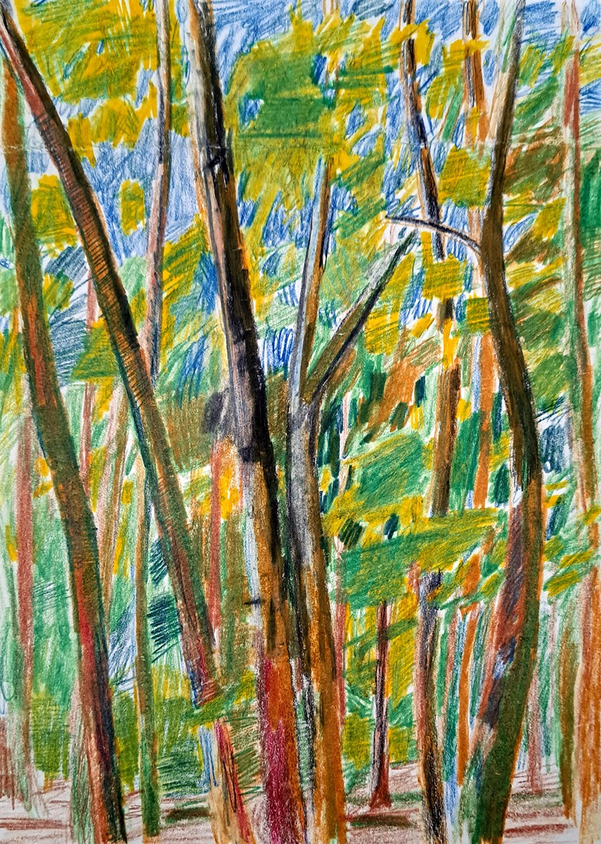 Jan Vejtasa (*1978) - Stromovka