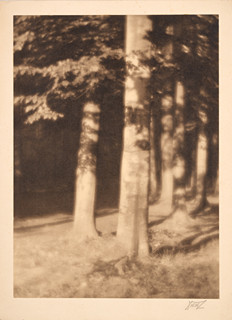 Jan Lauschmann (1901-1991) - Na kraji lesa
