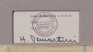 Hugo Demartini (1931 - 2010) - Kruhová struktura
