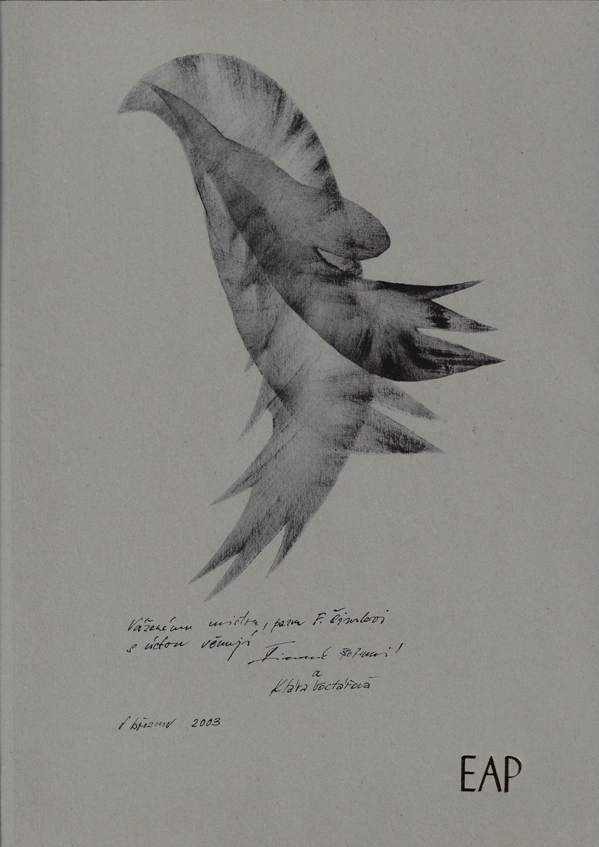 Edgar Allan Poe - Havran / Edgar Allan Poe ; originální ilustrace Dagmar Novotná