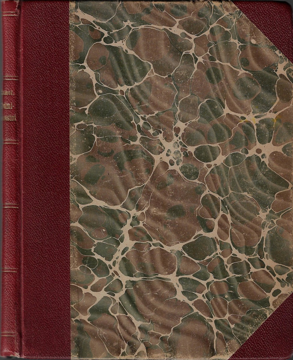Fráňa Šrámek (1877 - 1952) - Sedmibolestní / Fráňa Šrámek
