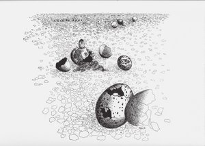 Toyen (1902 - 1980) - TIR : cycle de douze dessins 1939-1940 / Radovan Ivsic, dessins Toyen