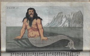 Unterhaltungen über den Menschen. Dritter Theil / Gottlieb Tobias Wilhelm