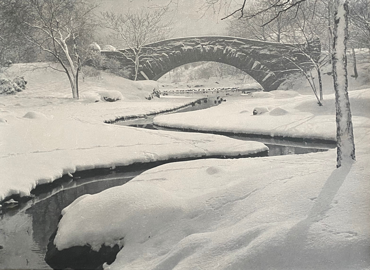Růžička Drahomír Josef - Winter morning in Central park New York