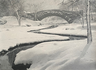 Růžička Drahomír Josef - Winter morning in Central park New York