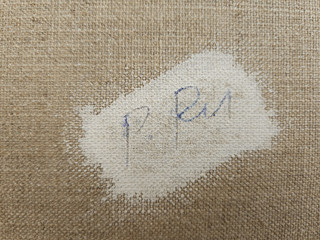 Pavel Rudolf - Černo bílá variace
