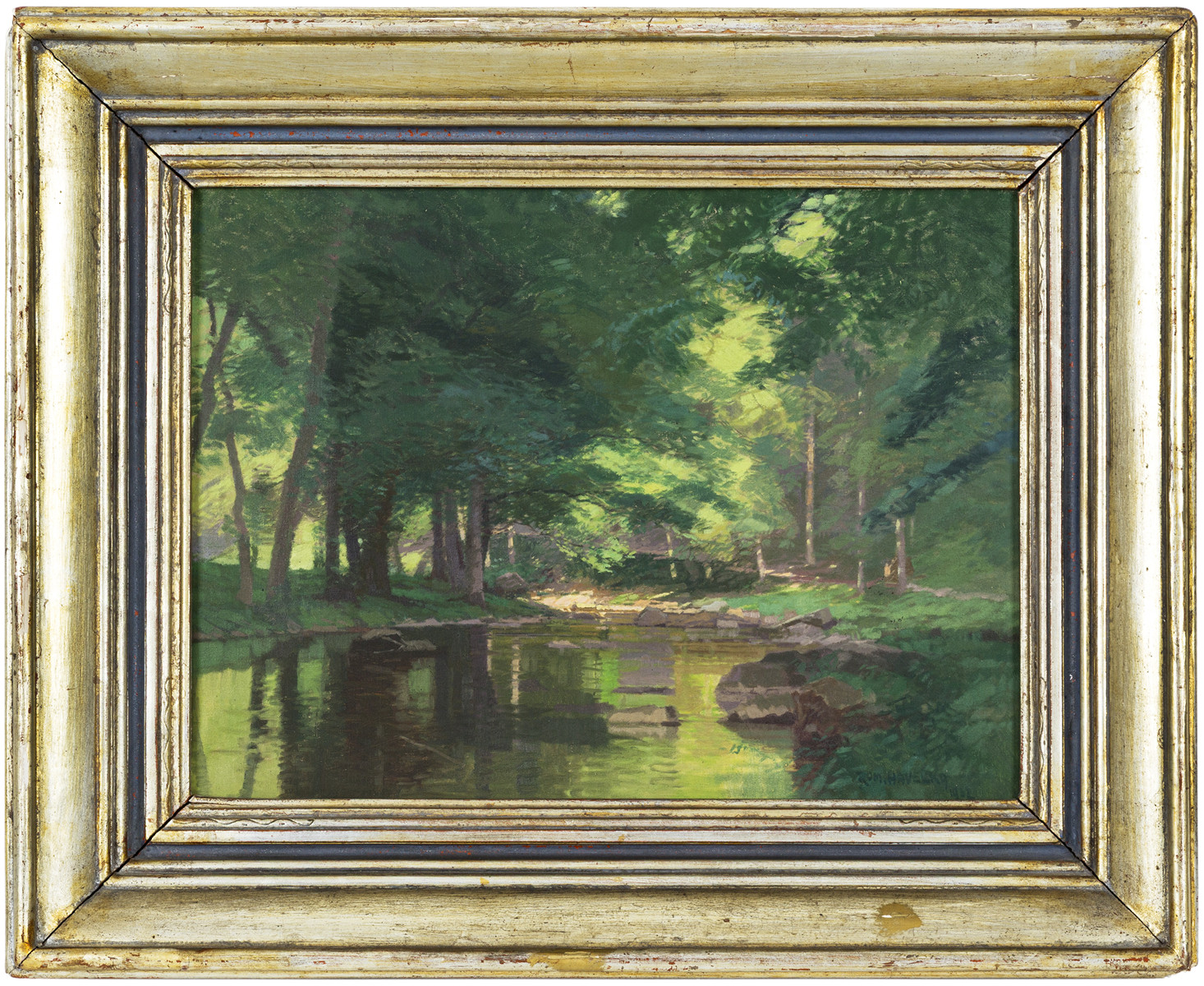 Forest pool
