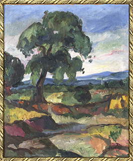 Landscape around Uzhhorod