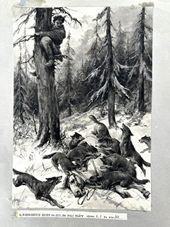 Věnceslav Černý (1865 - 1936) - Na poli slávy