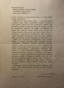 Theodor Pištěk (1932) - Vlastní podobizna Theodora Pištěka