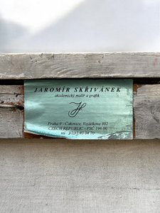 Jaromír Skřivánek (1923 - 2010) - Džinistický chrám v Ránakpúru