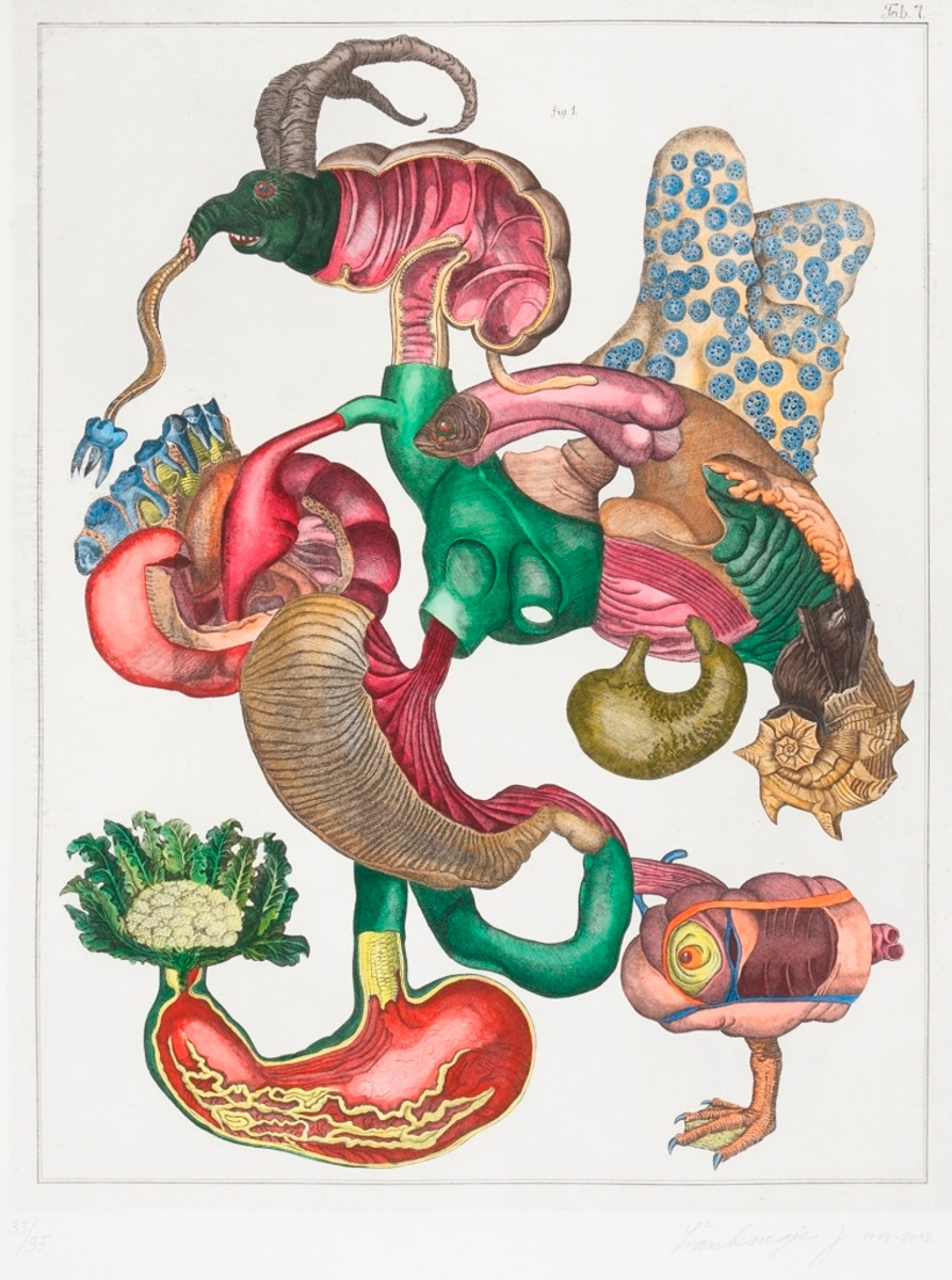 Ján Švankmajer (1934) - Tab 7. Z cyklu Prírodopis
