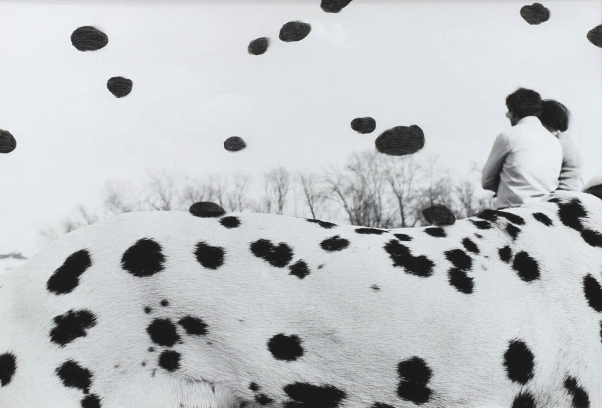 ŽUPNÍK Peter (*1961) - Dogs Days