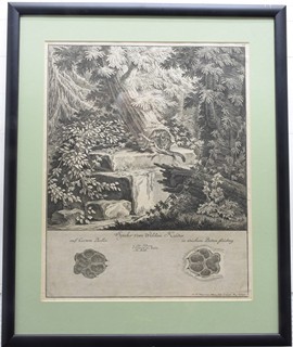 RIDINGER Johann Elias (1698-1767) - Divoká kočka
