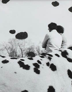ŽUPNÍK Peter (*1961) - Dogs Days