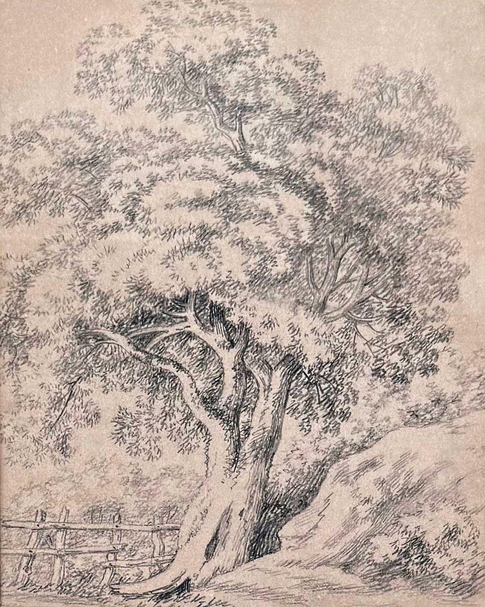 Antonín Mánes (1784 - 1843) - Studie stromu