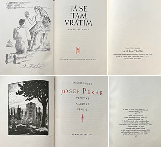 2 bibliofilie