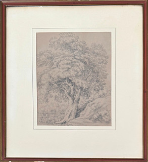 Antonín Mánes (1784 - 1843) - Studie stromu