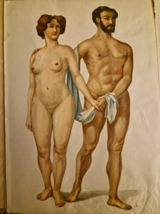 Dückelmann Anna Fischer - Man und Weib