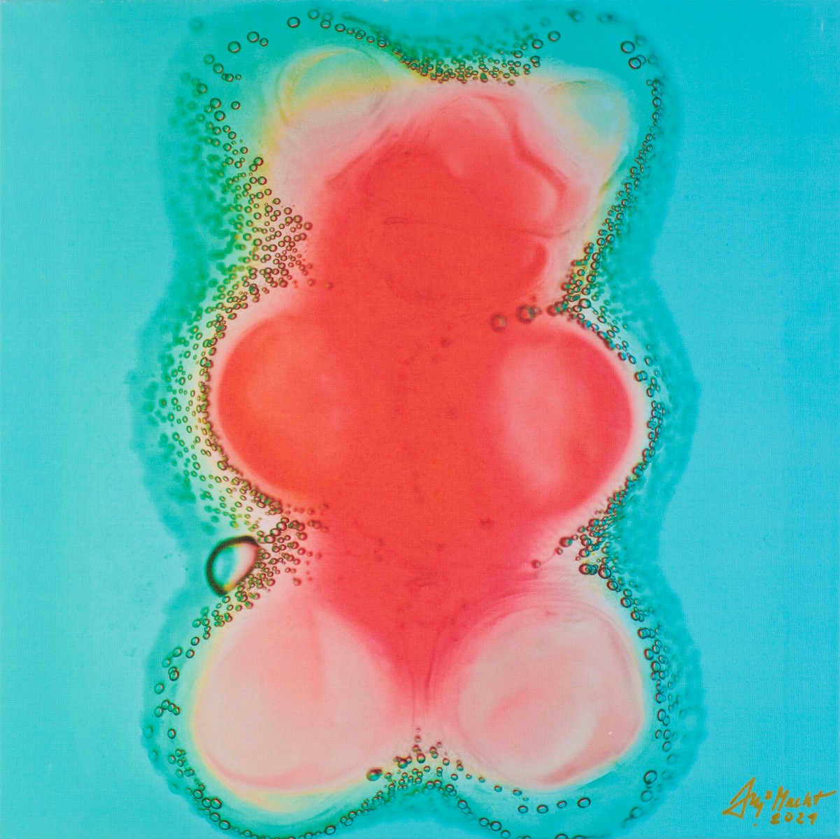 Jiří Macht (1977) - Haribo