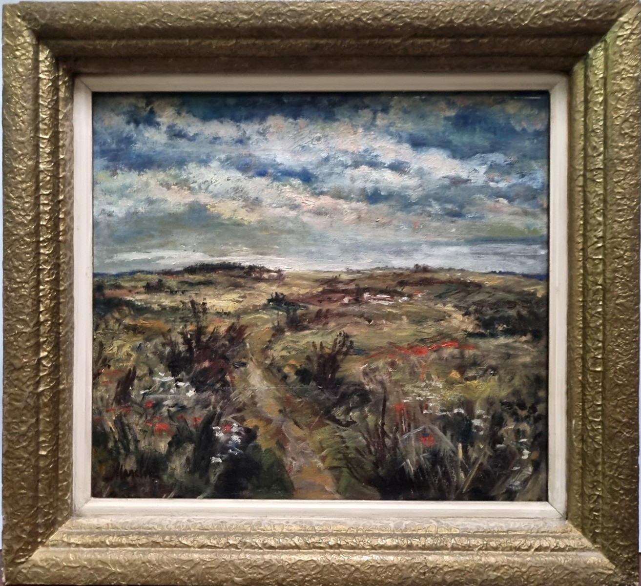 Salava Jaroslav - Divoká louka