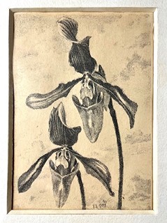 Švabinský Max - Orchidea