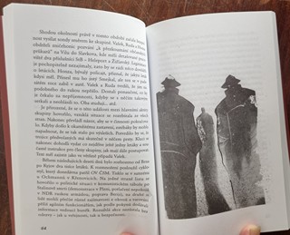 Kristofori Jan - Temné stíny - ilustrace ke knize Jak se chodí v laně