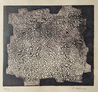 Valenta Rudolf - Organická struktura