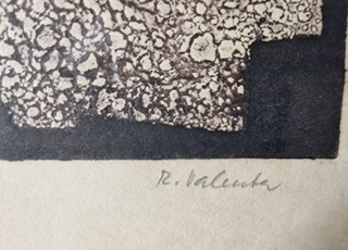 Valenta Rudolf - Organická struktura