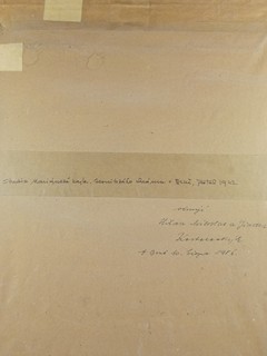 Schneiderka Alois - Studie Mariánské kaple Jezuitského chrámu v Brně